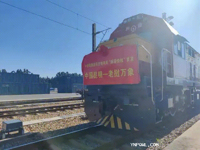 中老鐵路國際貨物列車(chē)“瀾湄快線(xiàn)