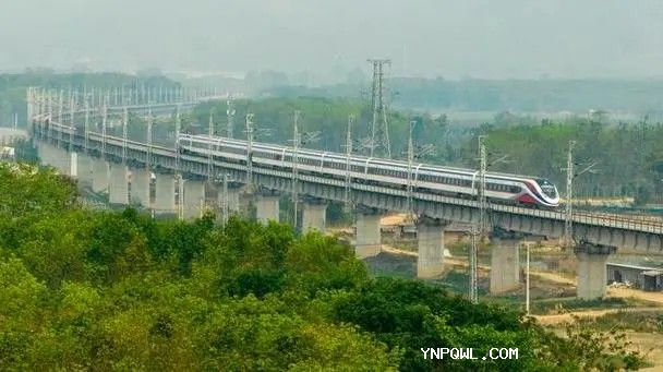 中老鐵路跨山海，區域協(xié)作優(yōu)勢更顯著(zhù)